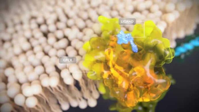 Ligand Binding to GPCR Receptor Molecular Interaction 3D Animation ...