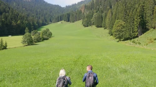 Aerial revealing shot of a couple walk and talk to each other in vast green grassland