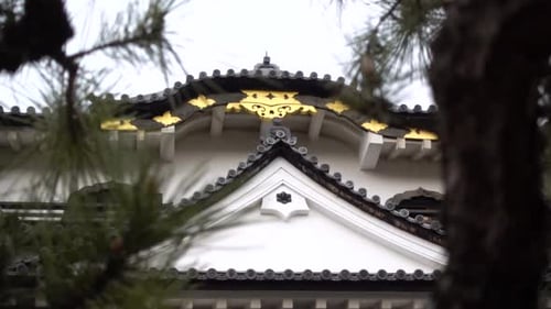 Beautiful close up of ancient typical Castle in Japan in between trees