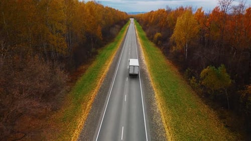 Autumn Road Trip on a Highway Surrounded By Colorful Trees in October