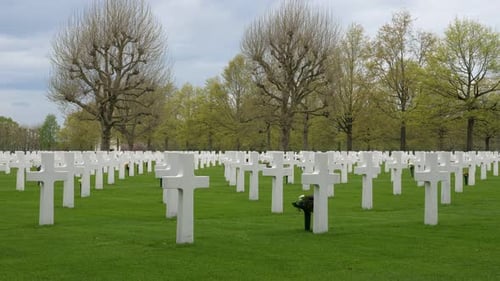 American memorial war cemetery, white crosses, pan shot