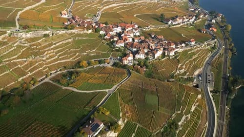 Aerial View of Vineyards and Village by Lake