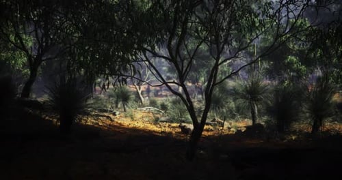 Exploring the Tranquil Forest Landscape Filled with Lush Greenery and Sunlight