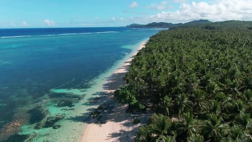 drone aerial view of tropical island paradise coast beach showcasing a beautiful white sandy shore w