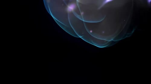 Des orbes et des fils luminescents illuminent une scène cosmique tranquille filmée par une caméra à haute vitesse à 10h00