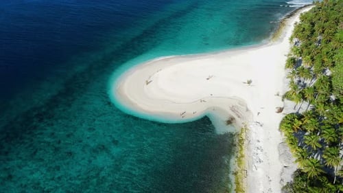 Maldives Islands Ocean Tropical Beach with Palms Aerial Drone View