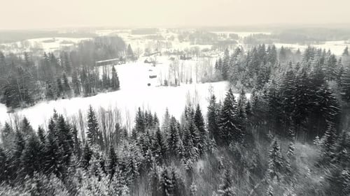 Aerial drone forward moving shot over snow covered coniferous forest on a cold winter day.