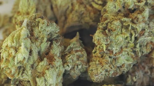 Rotierende Hintergrundschleife mit Nahaufnahme von Marihuana