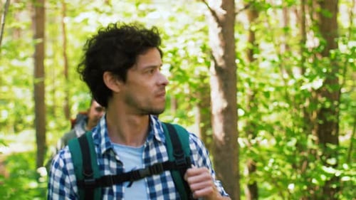 Forest Hike with Friends Travel Tourism