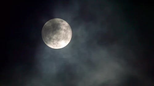 Full Moon Shines Brightly in the Night Sky