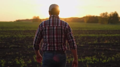 Farmer Man with Rubber Boots Wheat Field Sunset Spring Farming Agriculture Harvesting Food