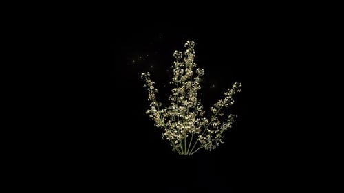 Flores de Alyssum que crecen con partículas
