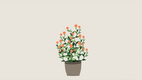 Home plant animation. Potted plant isolated. Decorative green houseplant in pot. Plant in pot