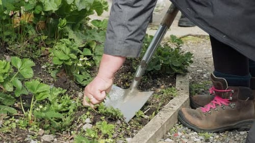 Seasonal works in the garden. Landscape design. Landscaping.