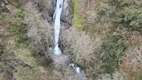 Waterfall Bird's Eye View in Lush Green Forest