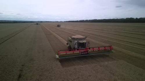 Combine on the field harvesting wheat