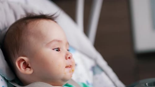 Adorable Infant Eats Lunch in High Chair