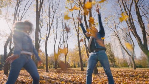 Black Female and Male Get Along Throwing Autumn Fallen Leaves