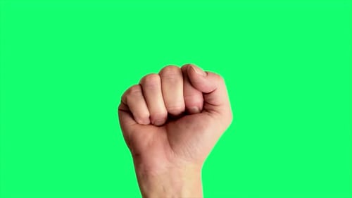 Close up shot of a male hand holding up a classic power or fist sign, against a greenscreen backgrou