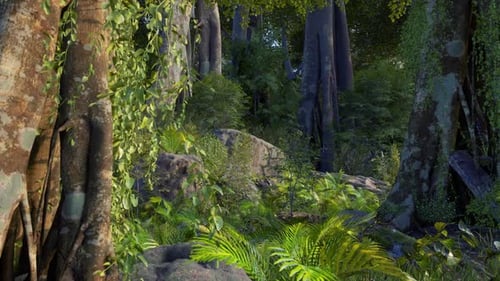 Beautiful Nature, Deep Green Forest