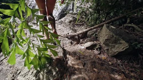 Woman Walks Barefoot to Tropical Waterfall