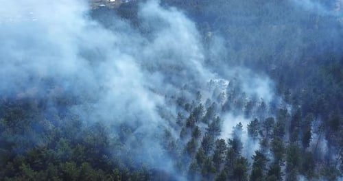 Smoke rises over forest fire. Dramatic landscape, drone view.
