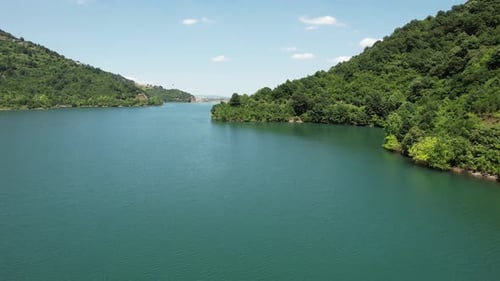 Lake Shore and Forest