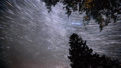 Swirling Star Trails Above Tree Silhouette at Night