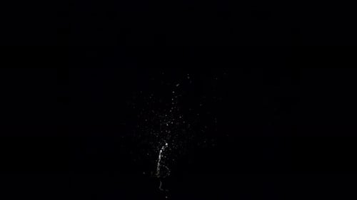 Dynamic Liquid Particles Bursting Upwards