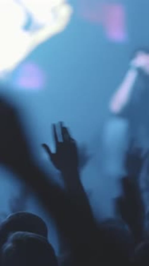 Silhouetted Crowd Enjoying Concert in Dark Venue