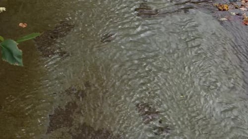 Plätschernde Wasseroberfläche in einem flachen Waldbach inmitten der Natur