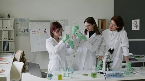 Female Scientists Working in a Lab