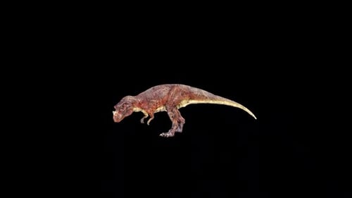 Wild Ceratosaurus Eat 2