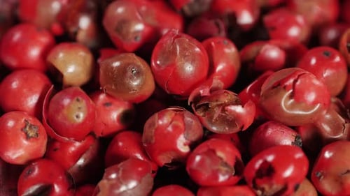 Red Peppercorns Close Up