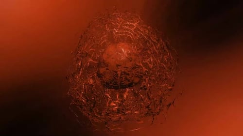 Abstract Organic Sphere Cracking and Reforming Animation