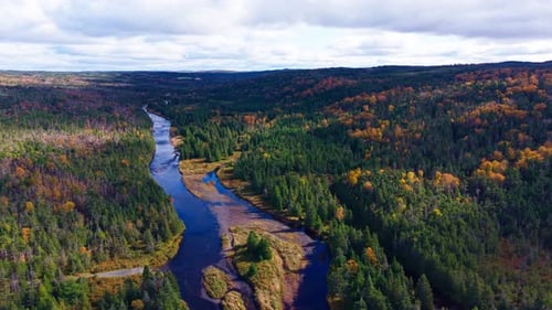 Soaring view over meandering river carving through autumn forest; curves and colours create