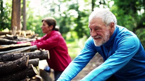 Senior Couple Stretching in Sunny Forest