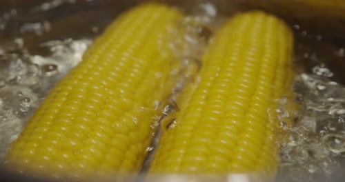 Yellow Corn Boils in Water in Pot