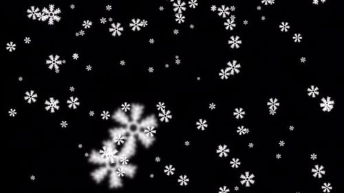 Snowflake Falling Alpha Channel Background
