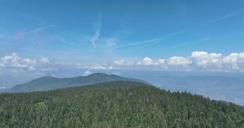 Aerial View of Lush Green Forest and Hills