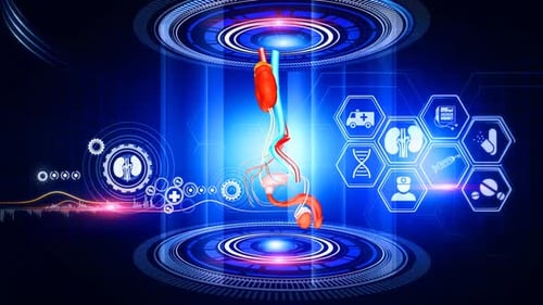 Illustration futuriste des reins et du système urinaire