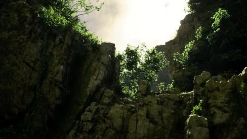Cinematic Upward Flight Through Lush Green Rocky Gorge