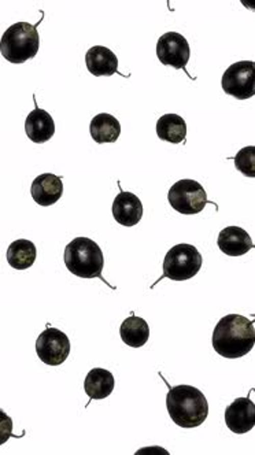 Falling Dark Berries on White Background Loop