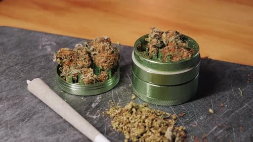 Medical Marijuana Bud Flowers of Cannabis with Big Joint and Grinder and Shredded Cannabis THC CBD
