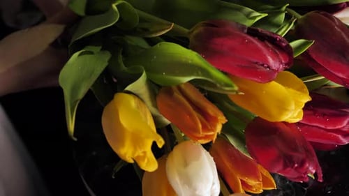 Colorful Tulips with Water Droplets on Marble Table