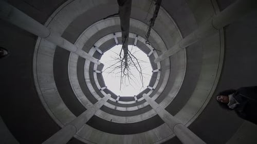 Lifestyle Portrait of Two Young Women Watching Tower Building Together