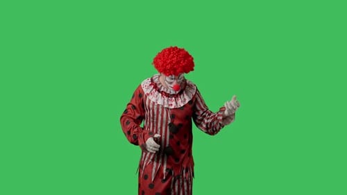 Funny Clown on Green Screen Chroma Key