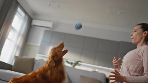 Woman Plays Fetch with Dog Indoors