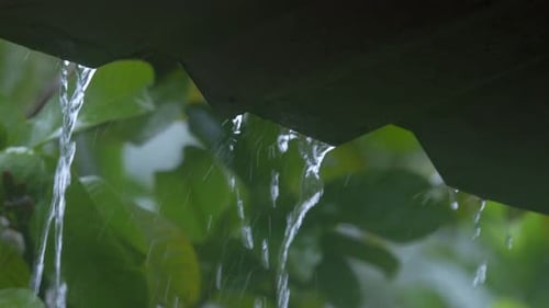 rain water falling from roof top shade uhd