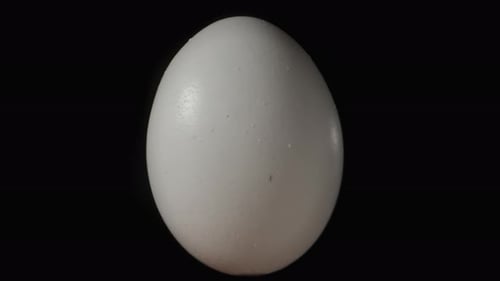 A white chicken egg rotates on a black background. Isolate close-up.